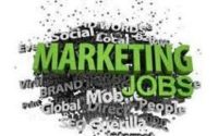 Marketing and CRM Manager