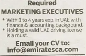 Marketing Executive