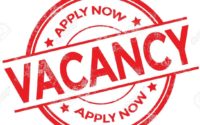 Senior Accountant Required