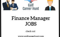 Hiring Assistant Finance Manager