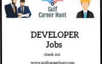 Multiple Developer Jobs