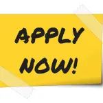 Senior Manager