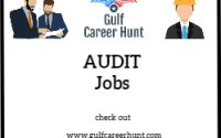 Internal Auditor Vacancies 2x