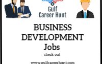 Business Development Executive