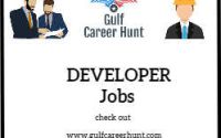 Web application Developer