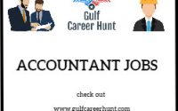 Accountant Finance & Accounts