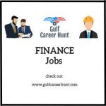 Finance Analyst