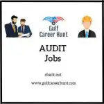 Audit Assistant