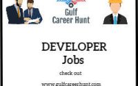 Node JS developer