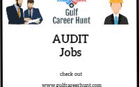 Virtual Auditor