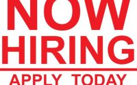 Cleaning Team Leader (Aircraft Cabin)