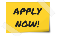 SEO Executive (Entry-level)